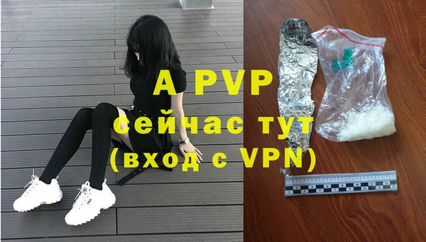 apvp Белокуриха