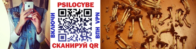 Псилоцибиновые грибы прущие грибы  ОМГ ОМГ вход  Среднеуральск  продажа наркотиков 